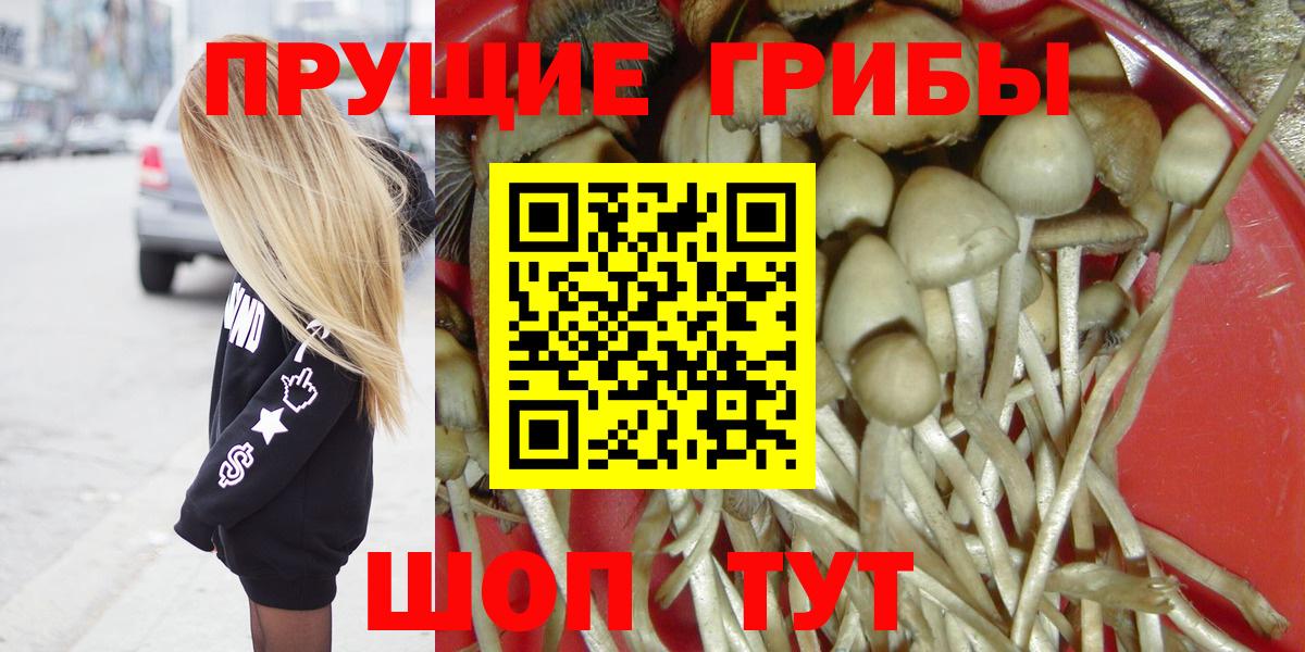 Псилоцибиновые грибы Magic Shrooms  Вход с VPN  Нефтекамск 