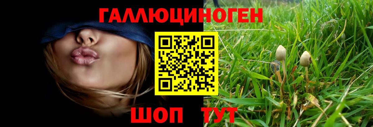 Галлюциногенные грибы Magic Shrooms Нефтекамск